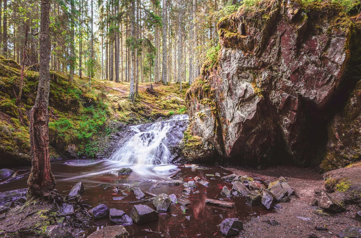 A cascading waterfall flows through an ancient Swedish spruce forest, with moss-covered granite boulders and soft dappled light filtering through the trees — Jönköping, Sweden