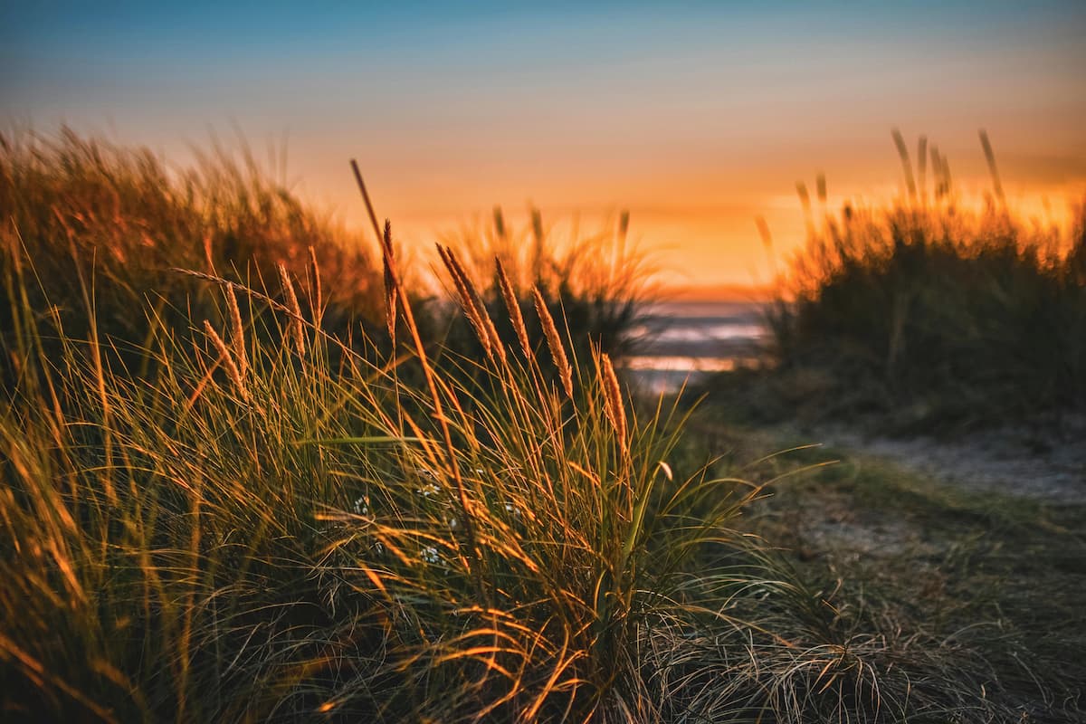 Wide open Swedish beach under a brilliant turquoise sky with wind turbines on the horizon