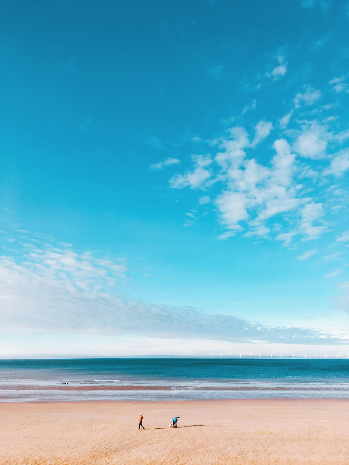 Beach dune grass glowing in golden sunset light with the sea visible in the background